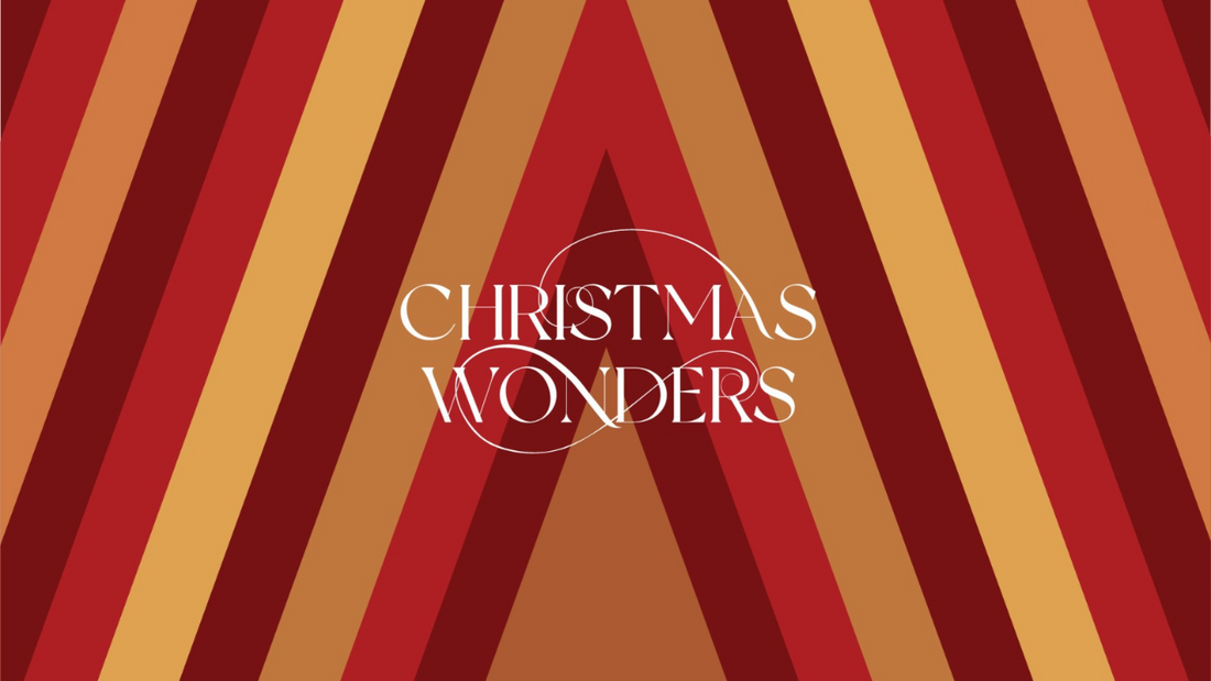 Christmas Wonders at H&CO: A Magical Collection